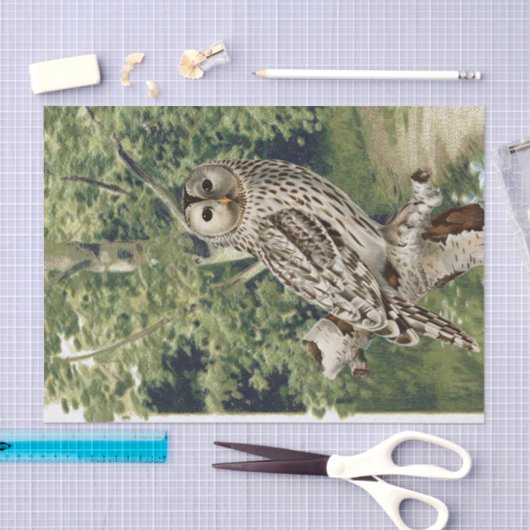  Uil Vogel Bos Berkenboom Bossen Decoupage Tissuepapier (Craft)