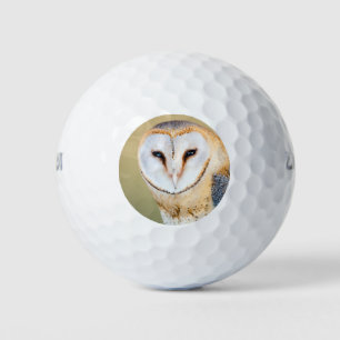 Uil Vogel Dier Golfer Green Destiny's Destiny Golfballen