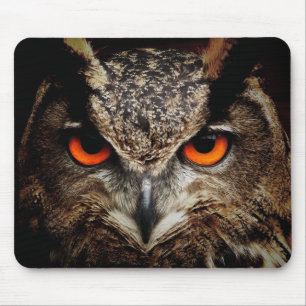 Uil, vogel, dier muismat