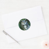 Uil Vogel Sticker (Envelop)