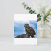 Uil Vogel Veren Dier Natuur Destiny Vrede Liefde Briefkaart (Staand voorkant)