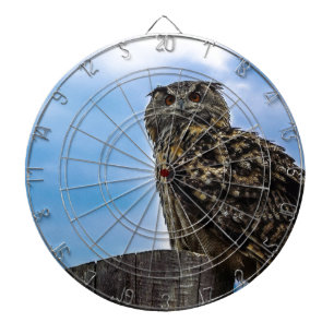 Uil Vogel Veren Dier Natuur Destiny Vrede Liefde Dartbord