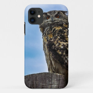 Uil Vogel Veren Dier Natuur Lotsbestemming Vrede L Case-Mate iPhone Case
