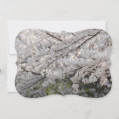 Uil Vogels Liefde Takken Bestemming Bestemming's Kaart (Achterkant)