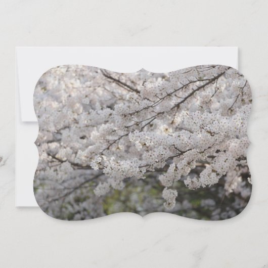 Uil Vogels Liefde Takken Bestemming Bestemming's Kaart (Achterkant)