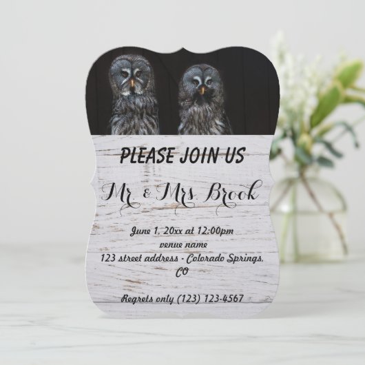 Uil Vogels Liefde Takken Bestemming Bestemming's Kaart (Staand voorkant)