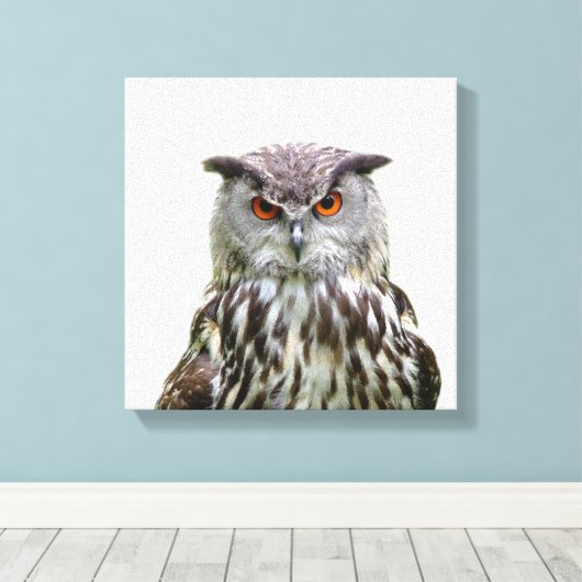Uil wild dier peekaboo foto canvas afdruk (Insitu (Houten vloer))