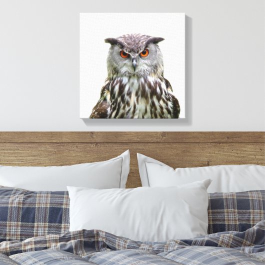 Uil wild dier peekaboo foto canvas afdruk (Insitu (Slaapkamer))