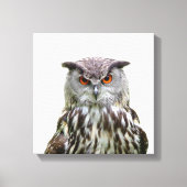 Uil wild dier peekaboo foto canvas afdruk (Voorkant)