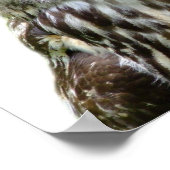 Uil wilde bosdier foto peekaboo kinderkamer poster (Hoek)