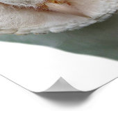 Uil wilde dier foto kiekeboe kinderkamer poster (Hoek)