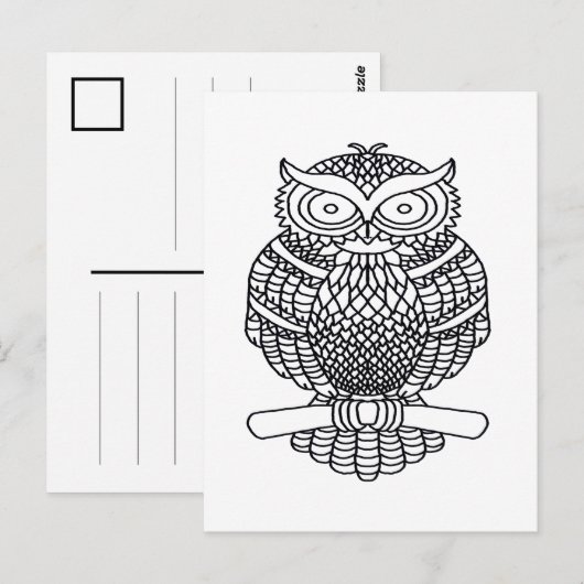 Uil (wit) - Briefkaart (Voorkant / Achterkant)