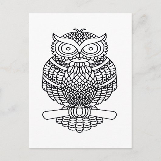 Uil (wit) - Briefkaart (Voorkant)