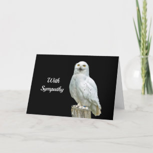 Uil Wit Log Foto Sympathie Kaart