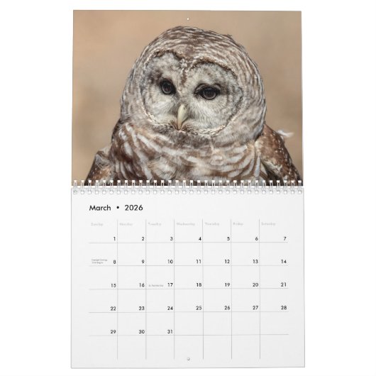 Uilen 2026 kalender (Mar 2026)