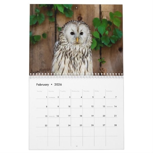 Uilen 2026 kalender (Feb 2026)