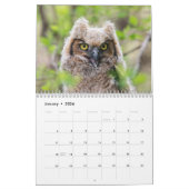 Uilen 2026 kalender (Jan 2026)