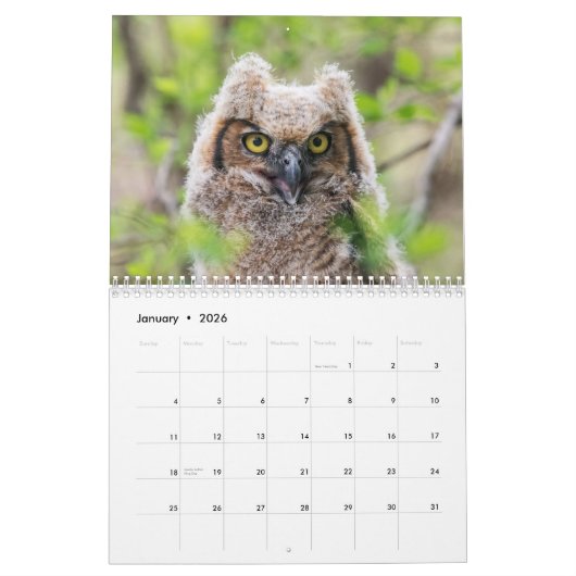 Uilen 2026 kalender (Jan 2026)