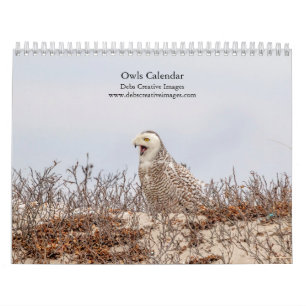 Uilen 2026 kalender