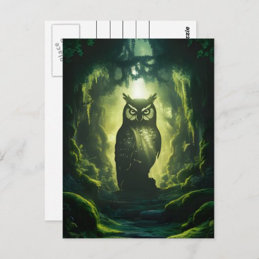 Uilen Bospad Briefkaart (Voorkant / Achterkant)