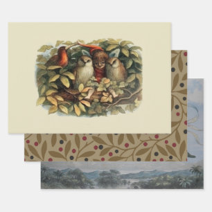 Uilen en elfenfeeën Natuur Illustratie Inpakpapier Vel