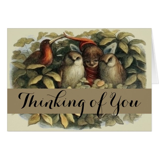 Uilen en elffeeën Natuur Illustratie (Voorkant Horizontaal)