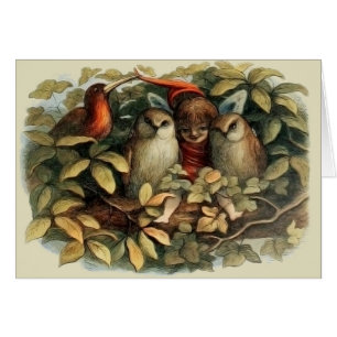 Uilen en elffeeën Natuur Illustratie