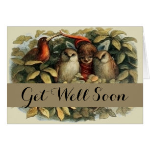 Uilen en elffeeën Natuur Illustratie