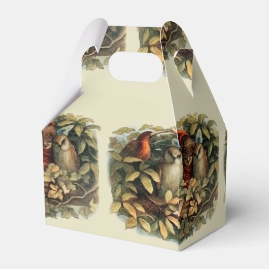 Uilen en elffeeën Natuur Illustratie Bedankdoosjes (Achterkant)