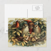 Uilen en elffeeën Natuur Illustratie Briefkaart (Voorkant / Achterkant)