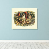 Uilen en elffeeën Natuur Illustratie Canvas Afdruk (Insitu (Houten vloer))