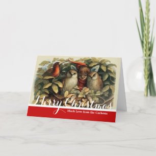 Uilen en elffeeën Natuur Illustratie Feestdagen Kaart