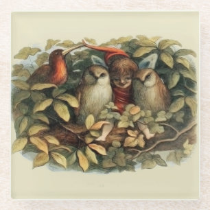 Uilen en elffeeën Natuur Illustratie Glazen Onderzetter