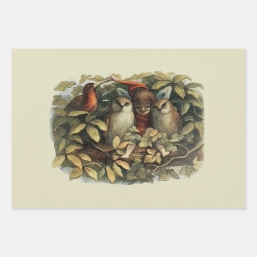 Uilen en elffeeën Natuur Illustratie Inpakpapier Vel (Voorkant)