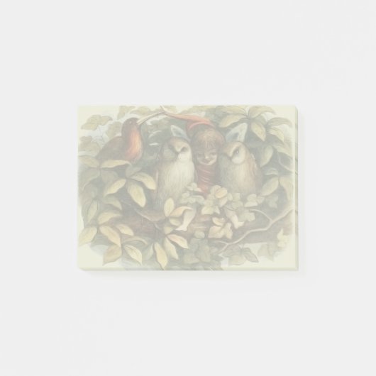 Uilen en elffeeën Natuur Illustratie Post-it® Notes (Voorkant)