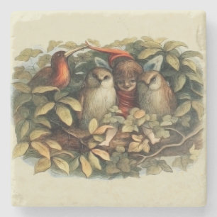 Uilen en elffeeën Natuur Illustratie Stenen Onderzetter