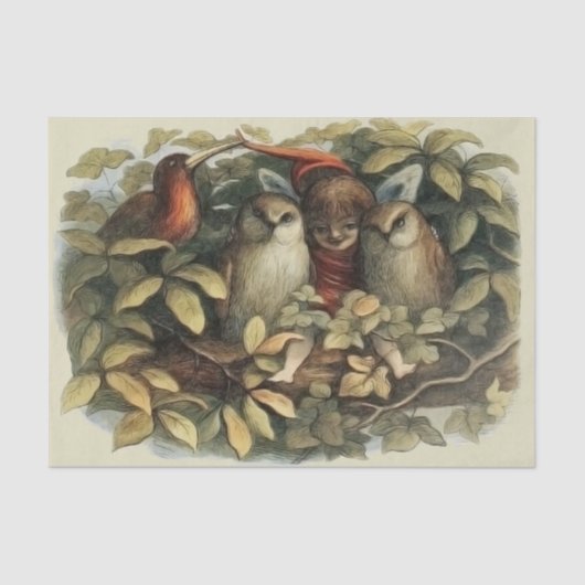 Uilen en elffeeën Natuur Illustratie Tissuepapier (Voorkant)