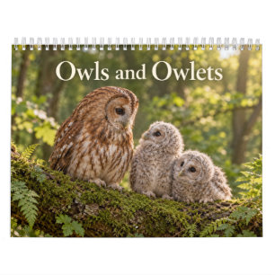 Uilen en Uilskuikens Wilde Seizoenen Kalender
