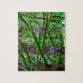 Uilen in Oregon Legpuzzel (Verticaal)