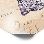 Uilen kijken naar je  collage foto afdruk (Hoek)