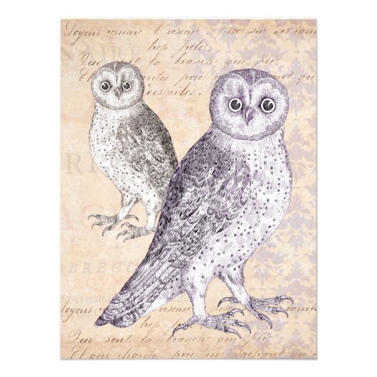 Uilen kijken naar je collage foto afdruk (Voorkant)