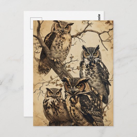  Uilen Kunstzinnig Briefkaart (Voorkant / Achterkant)