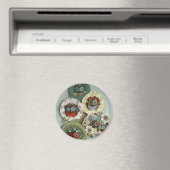 uilen magneet (Insitu (Vaatwasser))