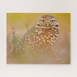 Uilen - Roofvogels. Legpuzzel