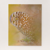 Uilen - Roofvogels. Legpuzzel (Verticaal)