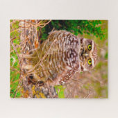 Uilen - Roofvogels. Legpuzzel (Horizontaal)