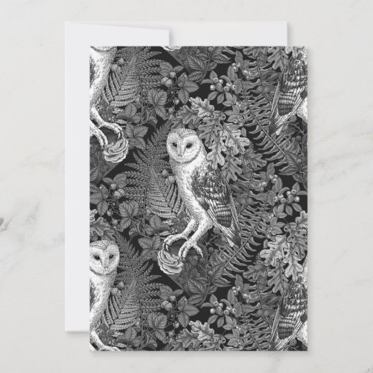 Uilen, varens, eik en bessen 4 (Voorkant)