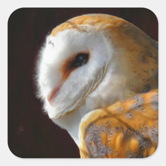 UILEN VIERKANTE STICKER (Voorkant)