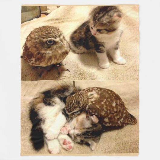 UILEN ZIJN SLECHTS KATTEN MET VLEUGELS FLEECE DEKEN (Voorkant)