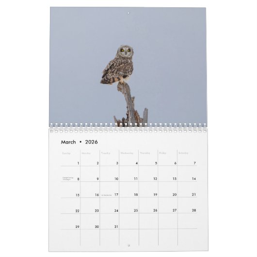 Uilenkalender 2026 kalender (Mar 2026)